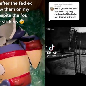TikTok Wants This FedEx Driver Fired Over Viral Video  | What's Trending Explained