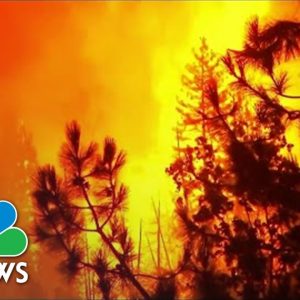 California Wildfire Exploded Overnight