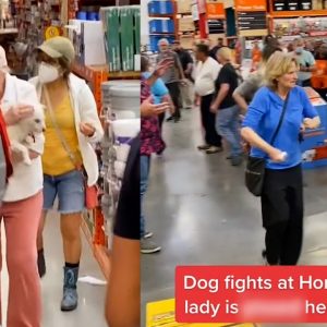 Dog Fight in Home Depot Causes Outrage | What's Trending Explained