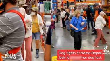 Dog Fight in Home Depot Causes Outrage | What's Trending Explained