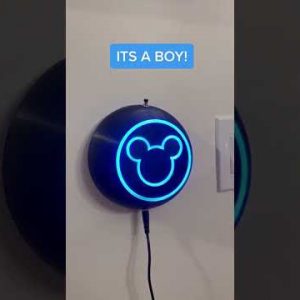 Family Goes Viral for Very Disney Gender Reveal | What's Trending in Seconds | #Shorts