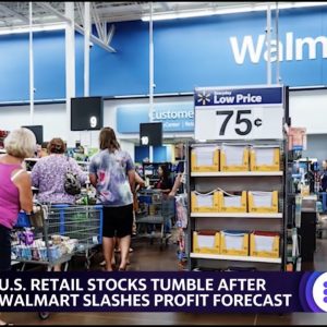 Walmart slashes profit forecast, warning sends stock plunging