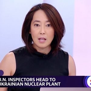 U.N. inspectors to visit Ukrainian nuclear plant amid radiation concerns