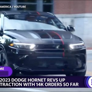 2022 Dodge Hornet revs up traction with 14,000 orders so far