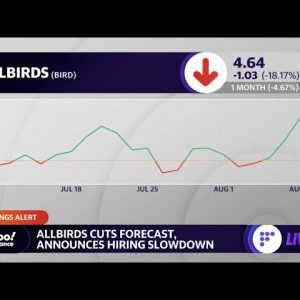 Allbirds stock tumbles on earnings guidance cut