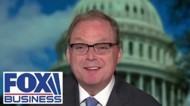 Did the White House ask if this was constitutional?: Kevin Hassett