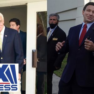 How will a DeSantis, Crist race playout in Florida?