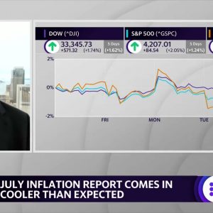 Inflation is a ‘force to be reckoned with,’ market strategist says