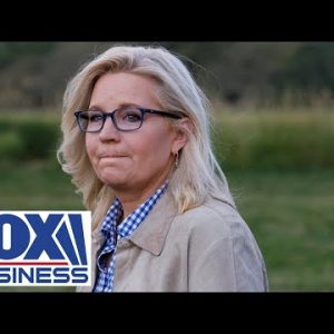 Liz Cheney's 'holier-than-thou attitude' rubbed Wyoming voters the wrong way: Hammer