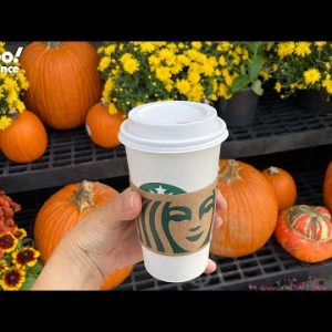 Starbucks pumpkin spice latte returns Tuesday with higher price tag