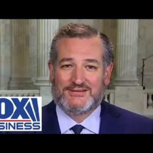 Ted Cruz: This is a power grab by the radical left