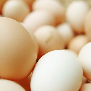 Why eggs are becoming more expensive, according to Vital Farms CEO