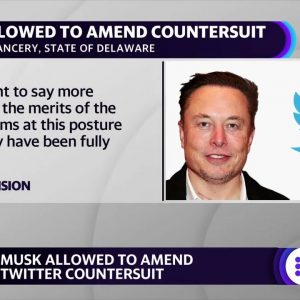 Elon Musk allowed to amend Twitter countersuit but not delay trial
