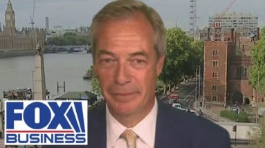 Nigel Farage: UK in a 'terrible mess' thanks to green policies