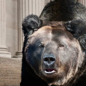 Bear market ‘still looks a bit wobbly’ amid economic weakness, strategist says