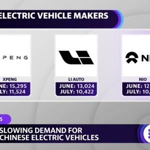 Chinese electric vehicle demand slowed in July