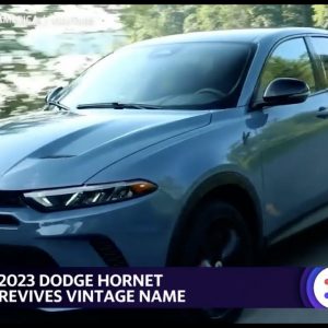 Dodge brings back the Hornet