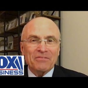 This admin wants more taxes: Andrew Puzder
